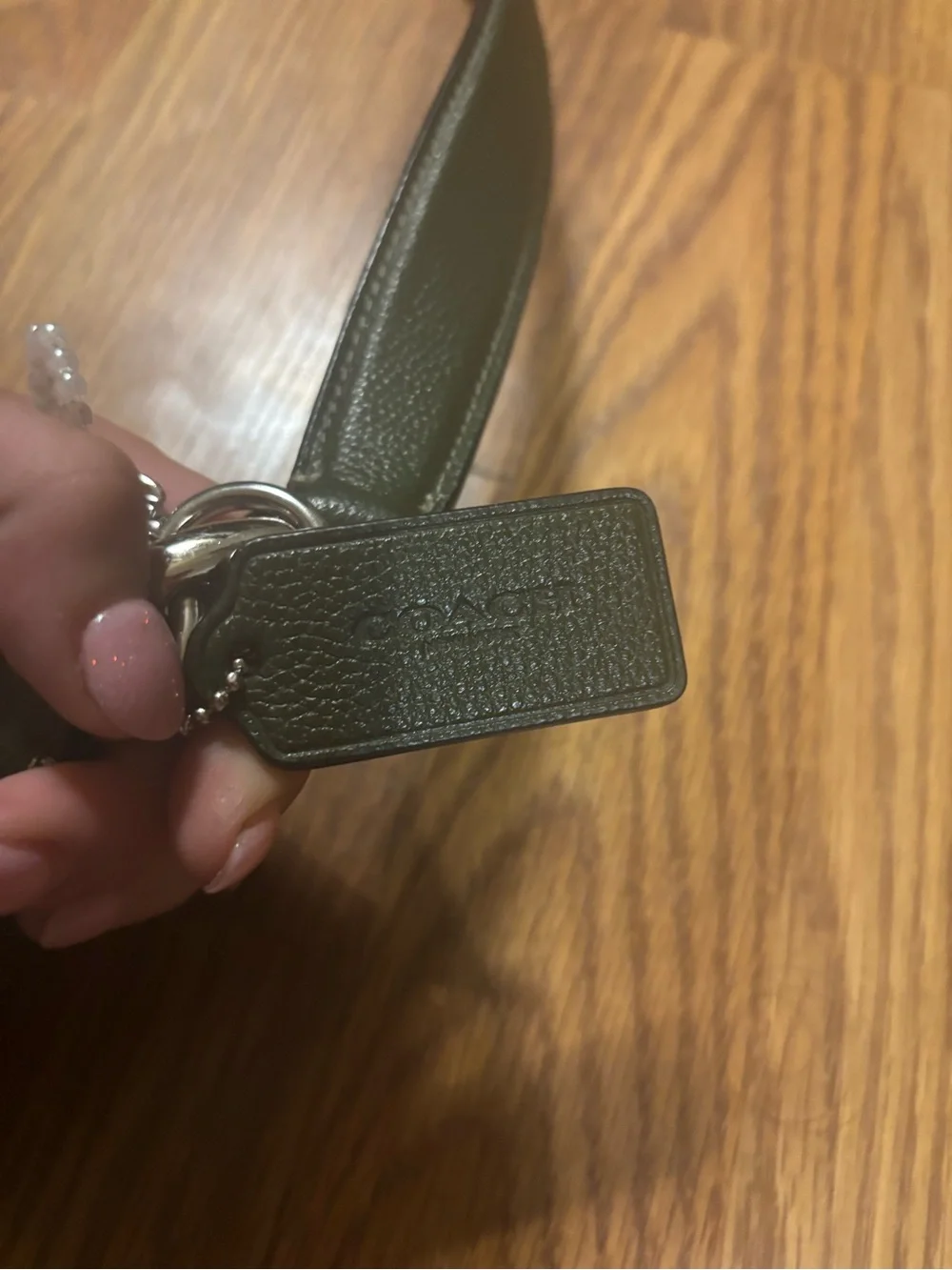 Coach Dark Green Leather Skylar Hobo Bag
